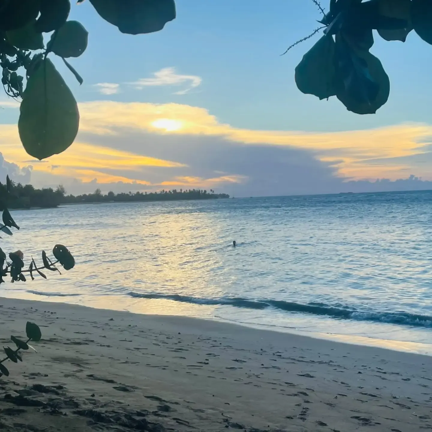 Sunset framed by sea-grape leaves