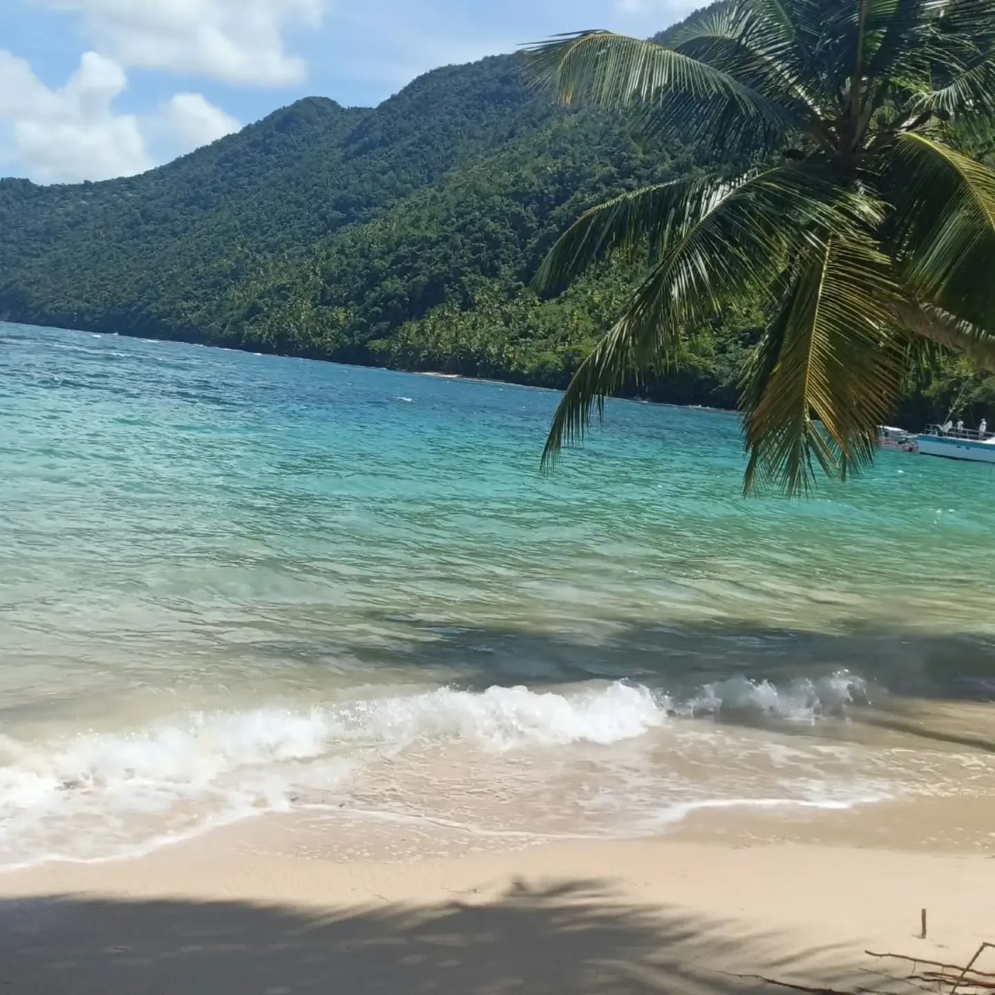 Wave breaking in a bay with a green mountain