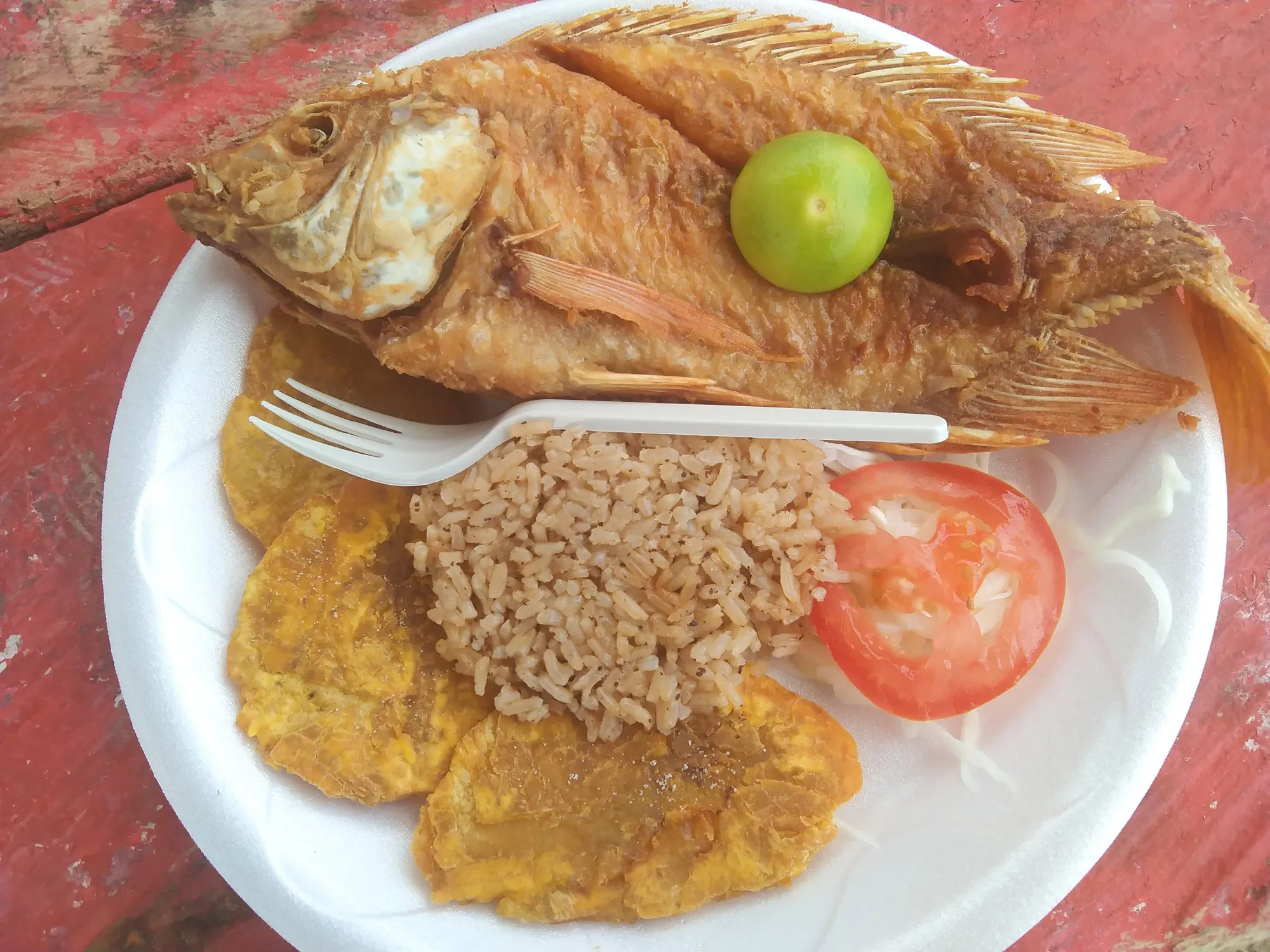 Fried fish with tostones and rice