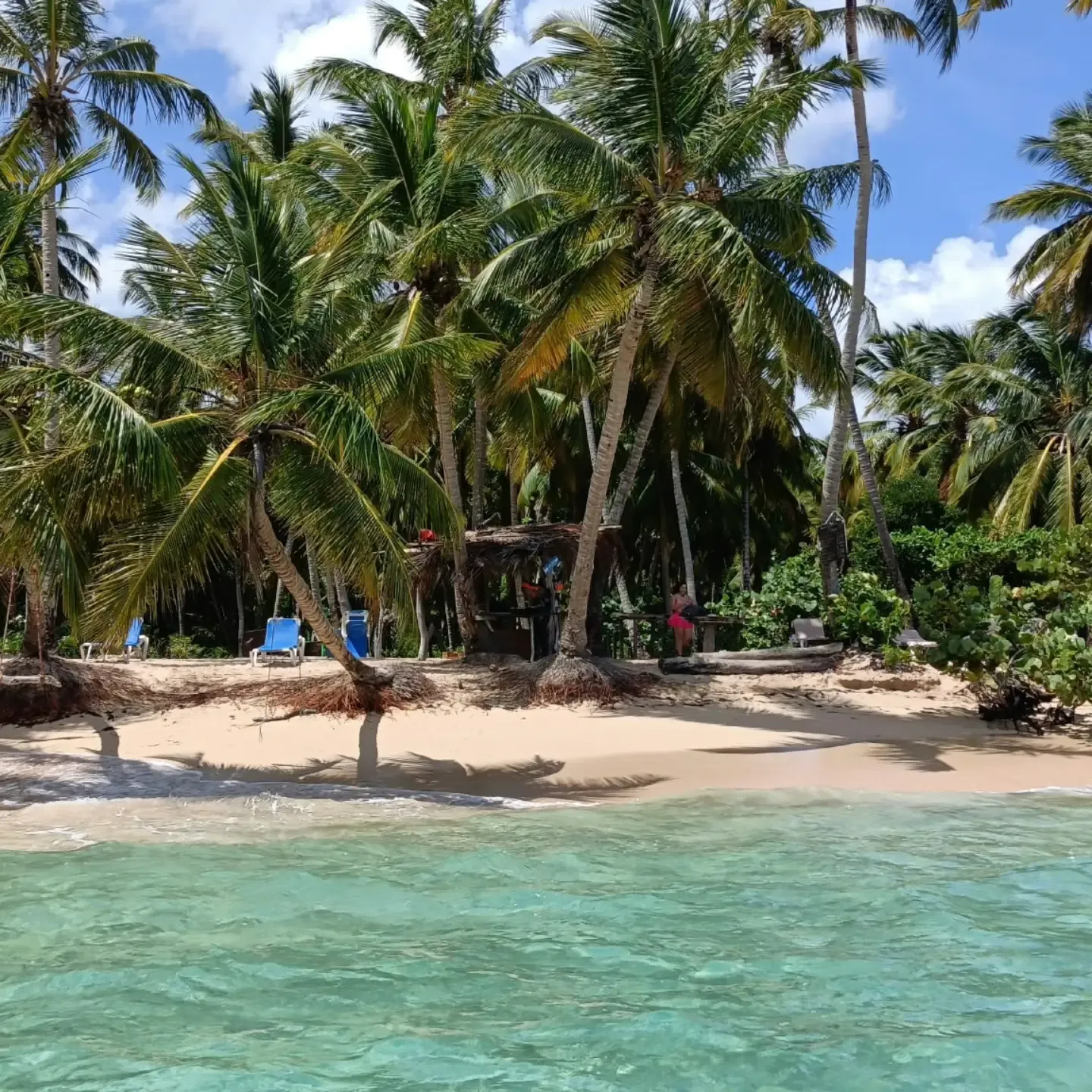 White-sand beach with palm trees and turquoise water in Samaná