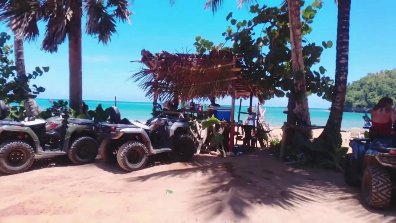 Quads parked by the beach among palm trees